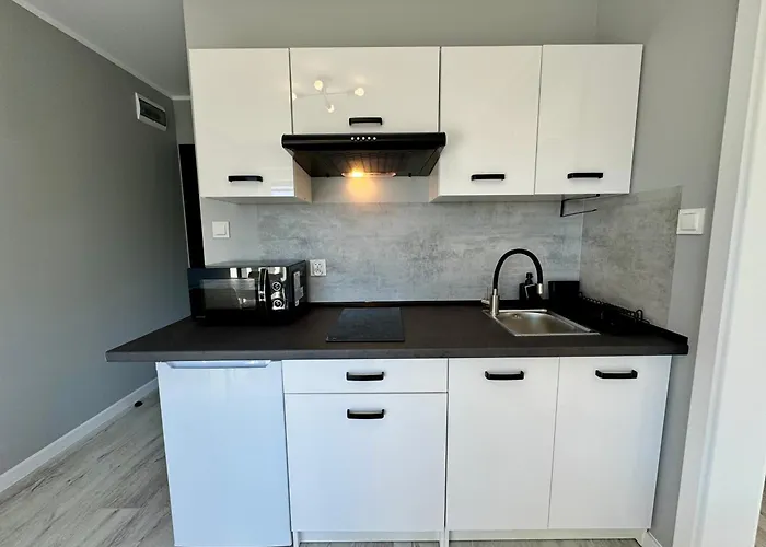 公寓 Grafit Władysławowo